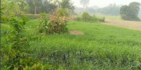 Land for sale in Narayanganj Dhaka