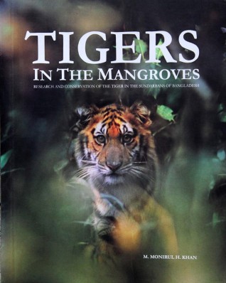 Tiger in the mangroves for sale in Dhanmodi Dhaka