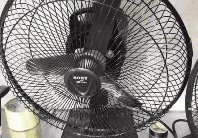 fan