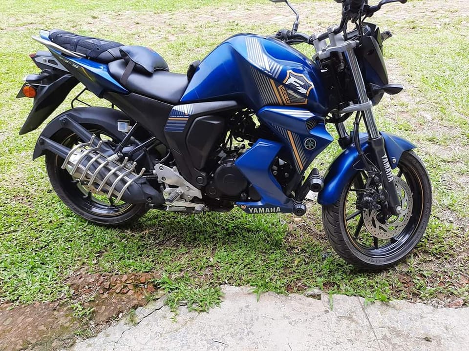 Yamaha fz v2 engine on sale guard