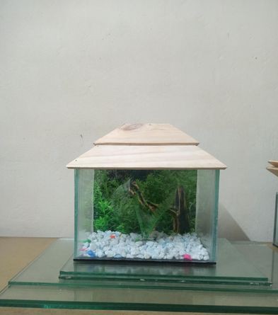 Aquarium for sell in Faridpur Dhaka Division