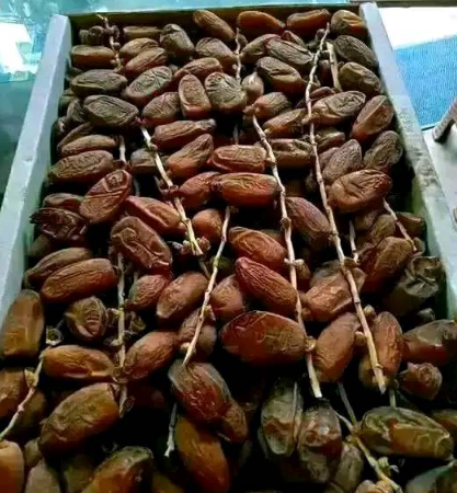 Date Fruits for Sale in Chattagram