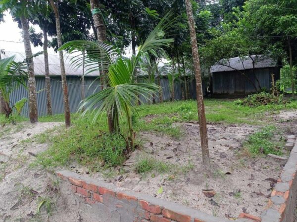 Land Sale in Sirajganj