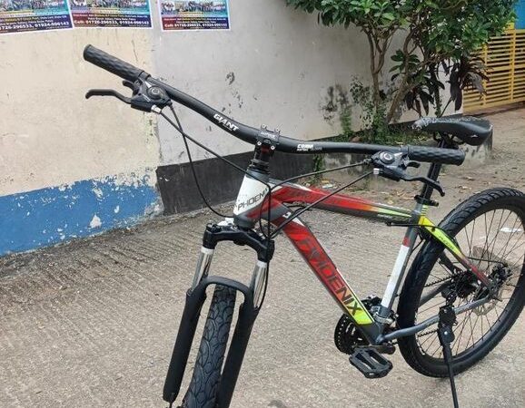 Phoenix bicycle for sale in Mirpur, Dhaka