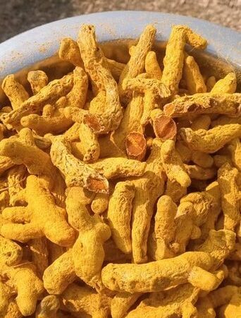 Dry Turmeric Finger for sell in Uttara, Dhaka