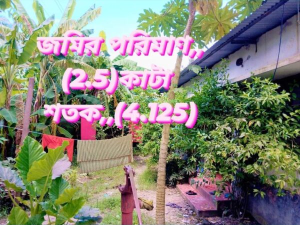 বাড়ি বিক্রি হবে টিনশেটের মোহাম্মদ নগর বাবলু সড়কের বিপরীতে