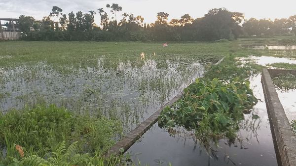 প্লট বিক্রি করা হবে ময়মনসিংহ শহরে আকুয়া এলাকায়