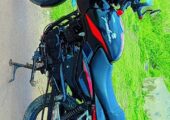 Pulsar 150 cc (Used) for sale in Faridpur