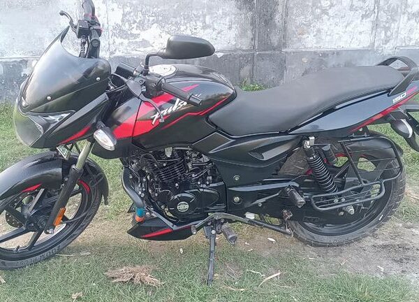 Pulsar 150 cc (Used) for sale in SAIDPUR