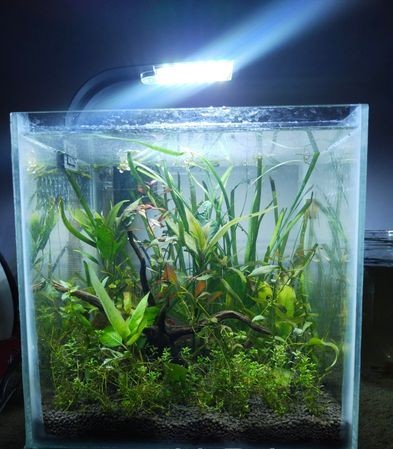 Aquarium four sale in Jashore, Khulna Division