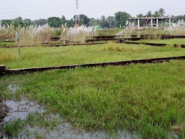 প্লট বিক্রি হবে ময়মনসিংহ সদর বাইপাস রুমডো কলেজ সংলগ্ন আব্দুল মান্নান সড়কে