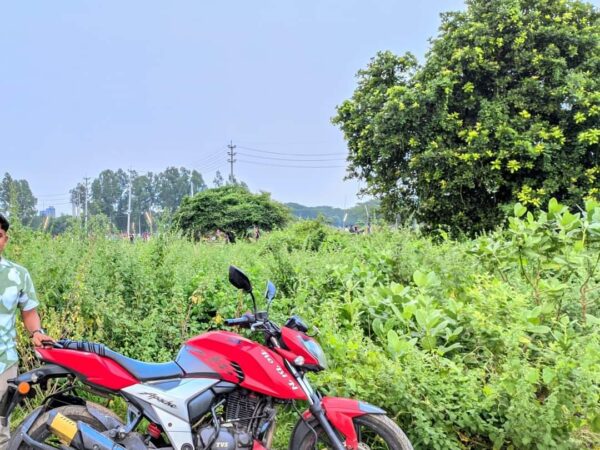 TVS Apache 4V Motorcycle For Sale at Kadomtali, Keraniganj in Dhaka