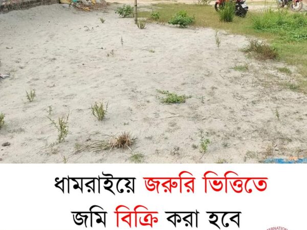 জমি বিক্রি করা হবে ঢাকা জেলার ধামরাই ঢুলিভিটা বাসস্ট্যান্ড থেকে ৭ মিনিট সময় লাগে পৌছাতে।