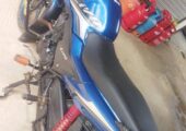 Honda_livo-2019 Model full fresh Used bike For Sale at Mithapukur In Rangpur.