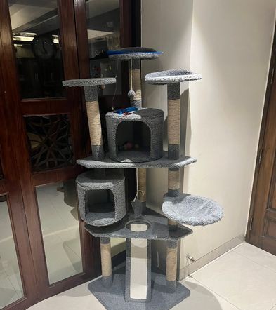 Cat Tree – বিড়ালের খেলনা বিক্রি করা হবে ধানমন্ডি ঢাকা