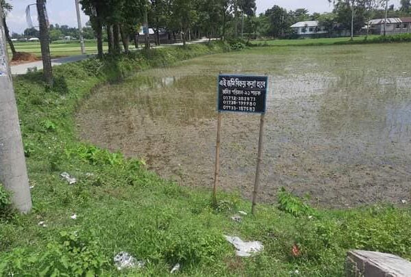 ৯১ শতক জমি ৫ শতক করে প্লোট হিসেবে বিক্রি হবে সৈয়দপুর শহরের পাশে