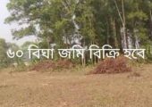 রিসোর্ট, এগ্রো খামার বা ডেইরি ফার্ম করার উপযোগী ৬০ বিঘা জমি বিক্রি হবে কালিয়াকৈর, গাজীপুর।