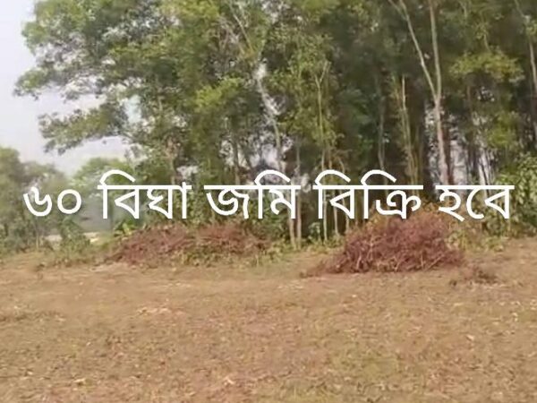 রিসোর্ট, এগ্রো খামার বা ডেইরি ফার্ম করার উপযোগী ৬০ বিঘা জমি বিক্রি হবে কালিয়াকৈর, গাজীপুর।