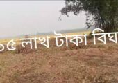 রিসোর্ট, এগ্রো খামার বা ডেইরি ফার্ম করার উপযোগী ৬০ বিঘা জমি বিক্রি হবে কালিয়াকৈর, গাজীপুর।