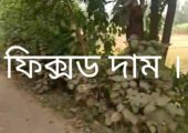 রিসোর্ট, এগ্রো খামার বা ডেইরি ফার্ম করার উপযোগী ৬০ বিঘা জমি বিক্রি হবে কালিয়াকৈর, গাজীপুর।