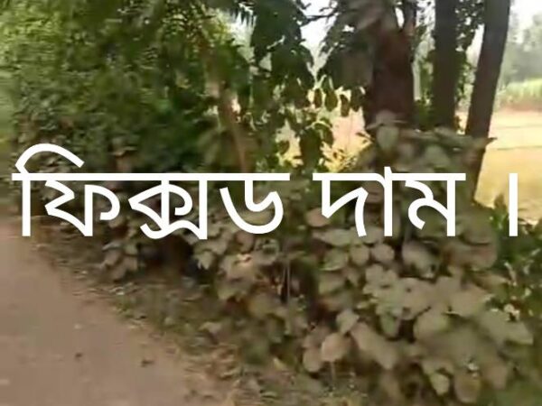 রিসোর্ট, এগ্রো খামার বা ডেইরি ফার্ম করার উপযোগী ৬০ বিঘা জমি বিক্রি হবে কালিয়াকৈর, গাজীপুর।