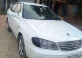 NISSAN SUNNY 2008 MODAL USED CAR SALE IN COMILLA, CHAUDDAGRAM.