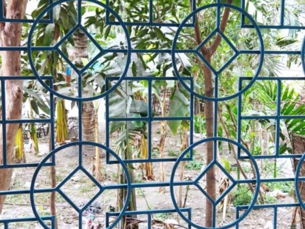 ফ্যামিলি বাসা ভাড়া দেওয়া হবে শান্তি পাড়া, গনেশপুর, টারমিনাল রোড,রংপুর।