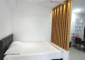 Rent Furnished 2 Bedroom Apartment in Bashundhara R/A.