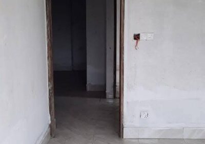 1000025219