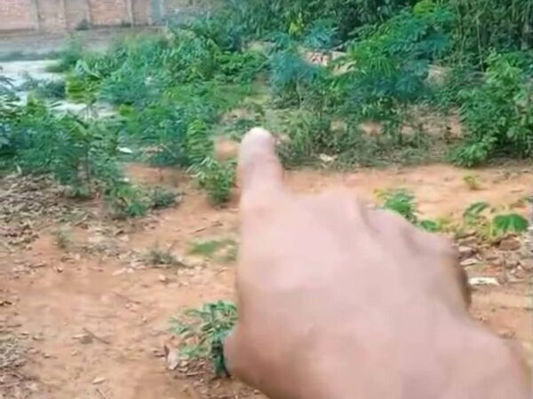 ঢাকা সাভার, দেওগা, জেনেরেটর মোড় ৬.১২ শতাংশ জমি বিক্রি হবে।