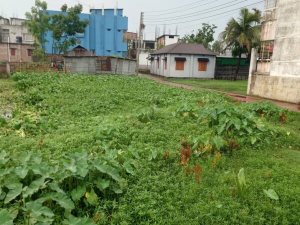 জমি বিক্রয় হবে রংপুর সদর সাতগাড়া মিস্ত্রি পাড়ায়।
