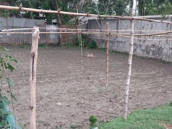 জমি বিক্রি হবে শালবন মিস্ত্রিপাড়া বেগম রোকেয়া মহিলা থেকে ৯০০ গজ পূর্ব দিকে খেরবাড়িতে।