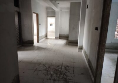 1000025582
