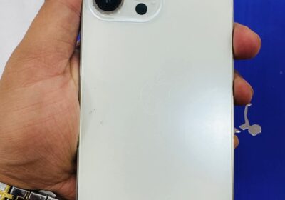 1000025627