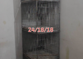 ৮ পিছ খাচা সেল হবে