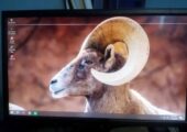 PC বিক্রয় করা হবে
