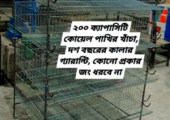২০০ ক্যাপাসিটি কোয়েল পাখির খাঁচায় ১,০০০ টাকা